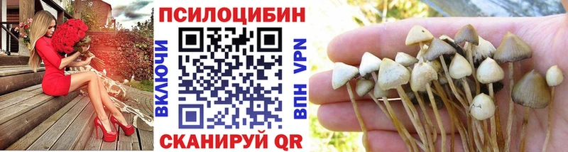 Псилоцибиновые грибы Psilocybe  где найти наркотики  Иркутск 