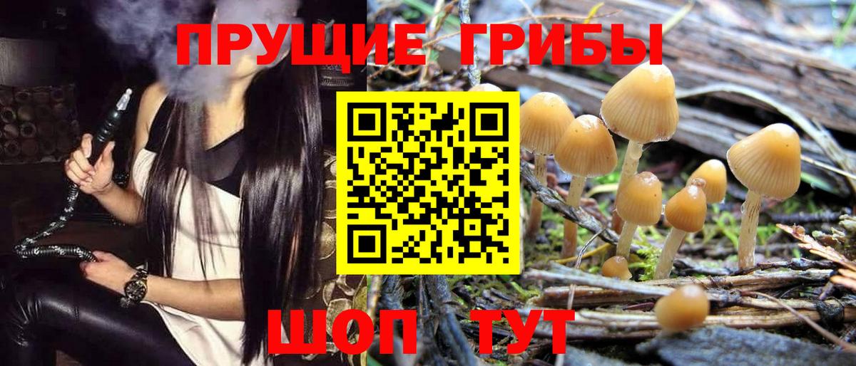 Галлюциногенные грибы Cubensis Иркутск