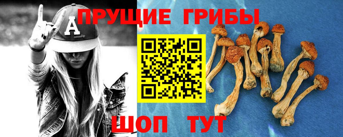 Галлюциногенные грибы MAGIC MUSHROOMS Иркутск