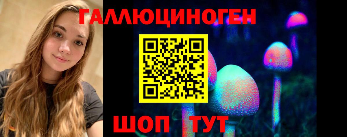 Галлюциногенные грибы GOLDEN TEACHER  Иркутск 