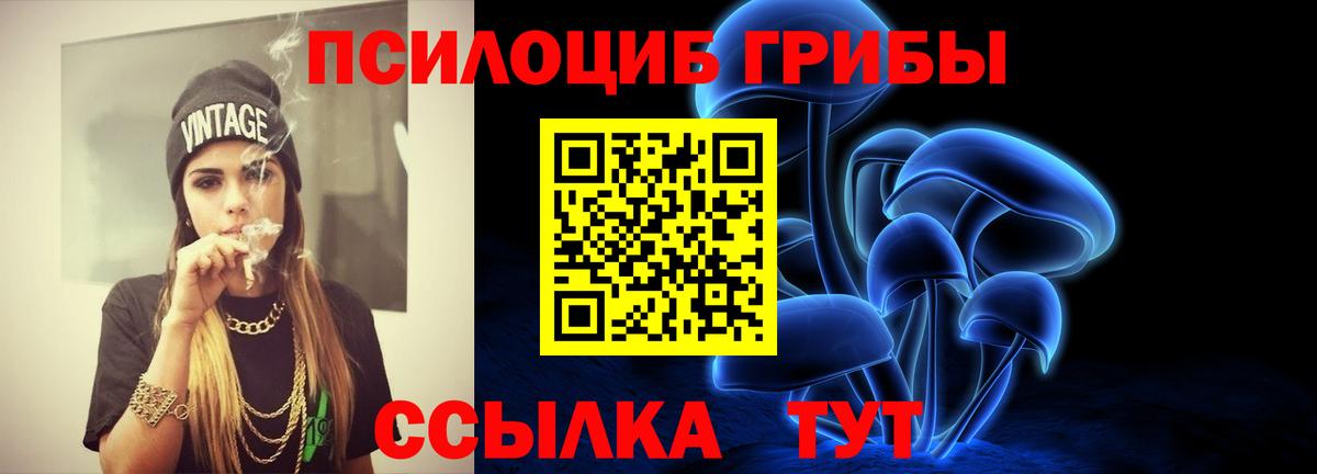 Иркутск  Галлюциногенные грибы Psilocybe  Псилоцибиновые грибы мухоморы  Вход с VPN 