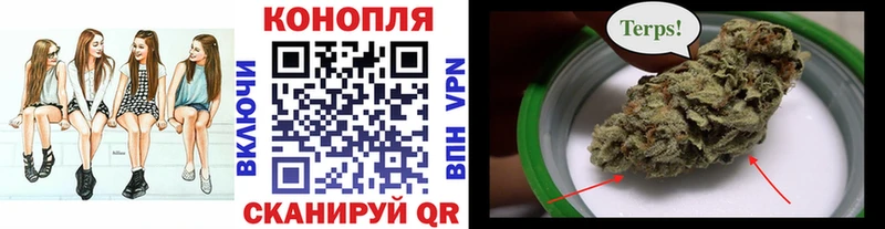 Бошки марихуана гибрид  kraken сайт  Иркутск 